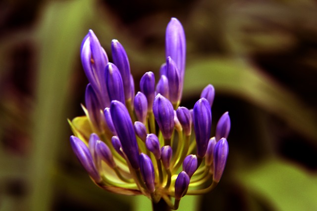 巴萨拒绝放人！吉罗纳想复制埃里克成功案例遭拒，卡萨斯留队发展